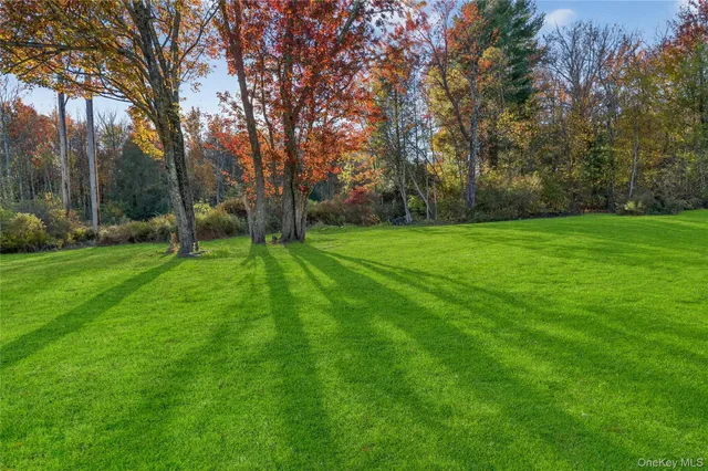 a view of a big yard with trees