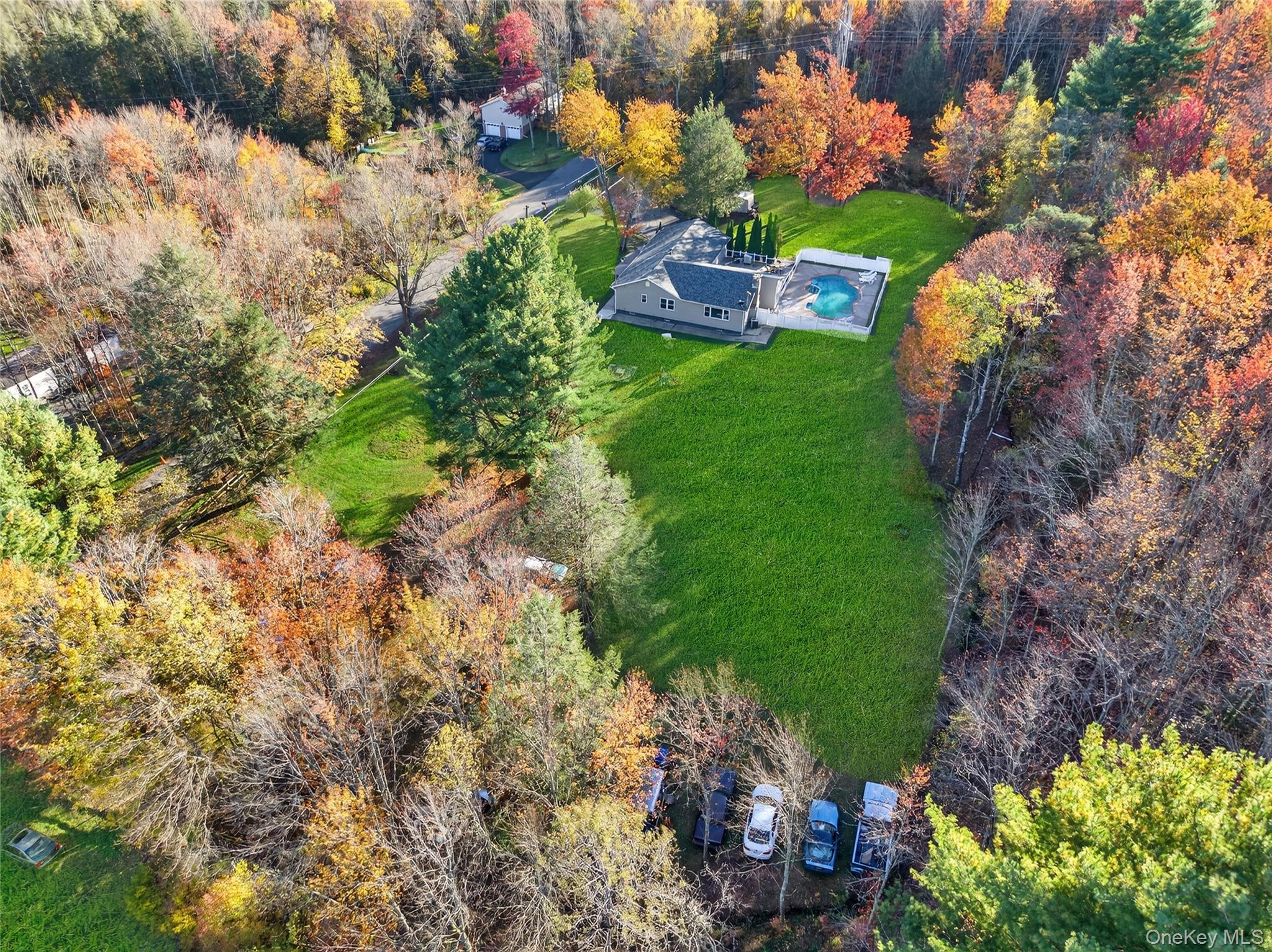 91 Meyerhoff Road Hurleyville, NY 12747 - Photo 40 of 43 a view of a garden with a house in a forest