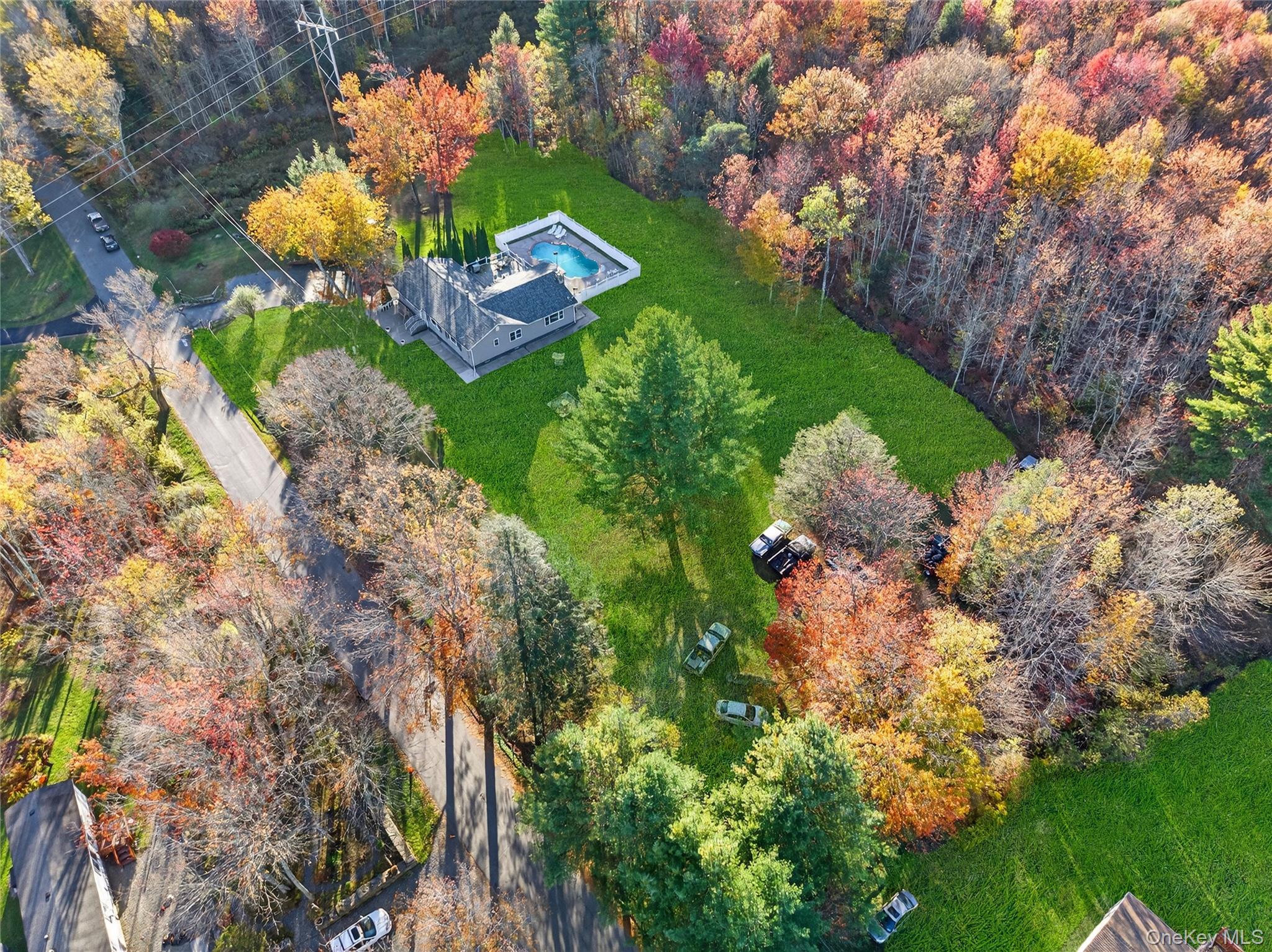 91 Meyerhoff Road Hurleyville, NY 12747 - Photo 41 of 43 a picture of flowers