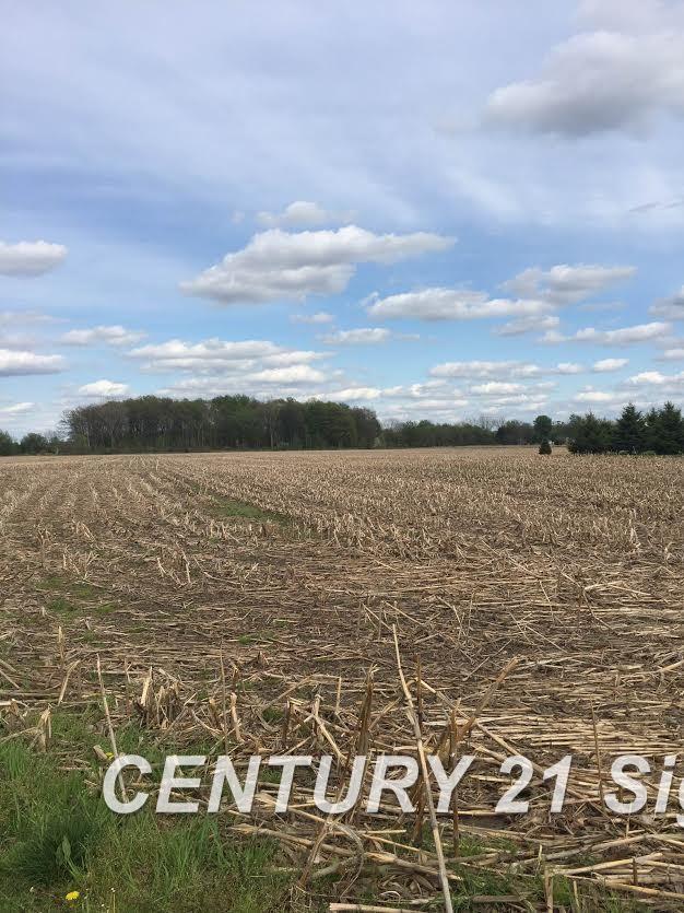 Parcel 1 Lone Freeland, MI 48623 - Photo 1 of 1