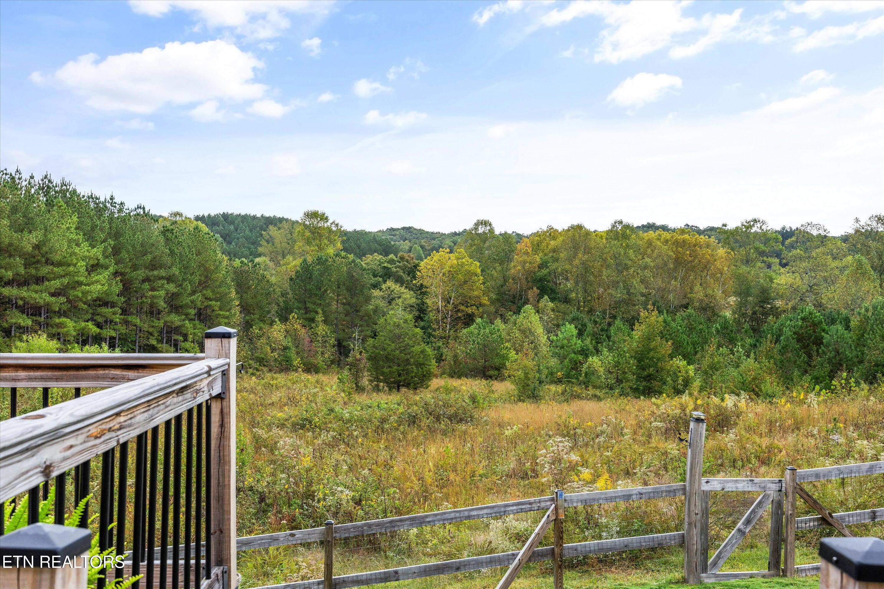 3851 Redman Lane Decatur, TN 37322 - Photo 33 of 41 33-3851 Redman Ln -10