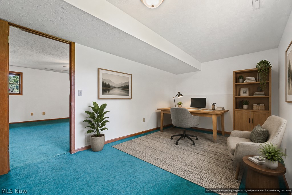 2642 Blake Road Wadsworth, OH 44281 - Photo 34 of 46 Bright white walls with teal carpeting