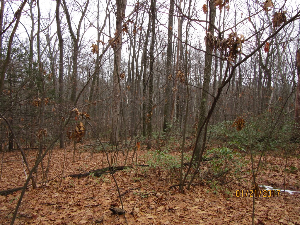Lot 2 Rocky Hill Road Northampton, MA 01062 - Photo 8 of 10 Gallery Image 8