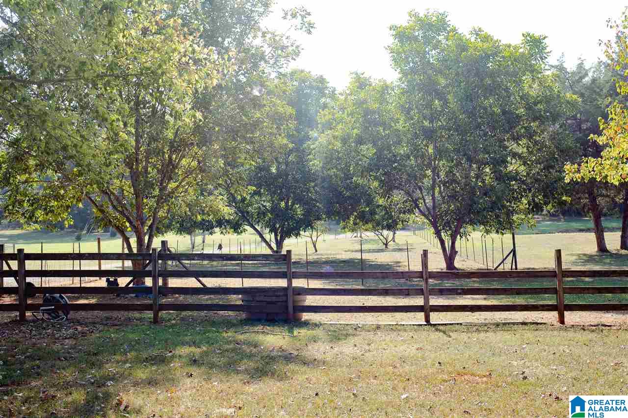 5955 Spring Creek Road Montevallo, AL 35115 - Photo 47 of 50