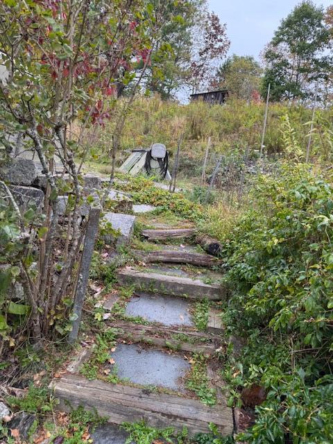 352 Bayview Road Penobscot, ME 04476 - Photo 37 of 56 IMG_2073