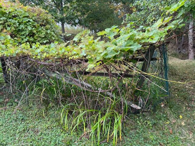 352 Bayview Road Penobscot, ME 04476 - Photo 48 of 56 IMG_2070