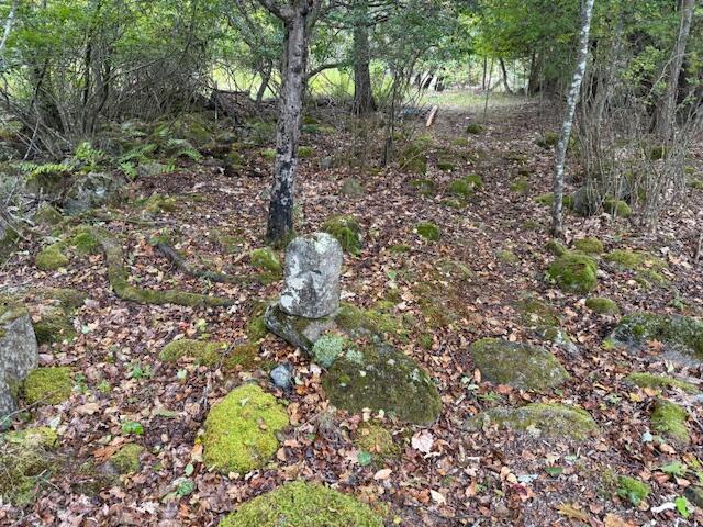 352 Bayview Road Penobscot, ME 04476 - Photo 50 of 56 IMG_2061