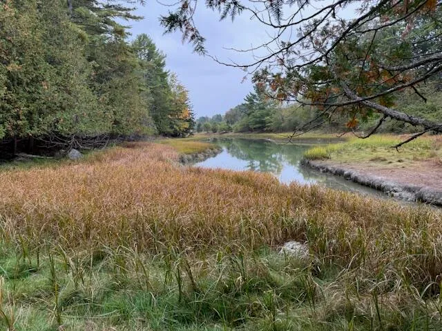 $229,000 | 352 Bayview Road, Penobscot, ME 04476