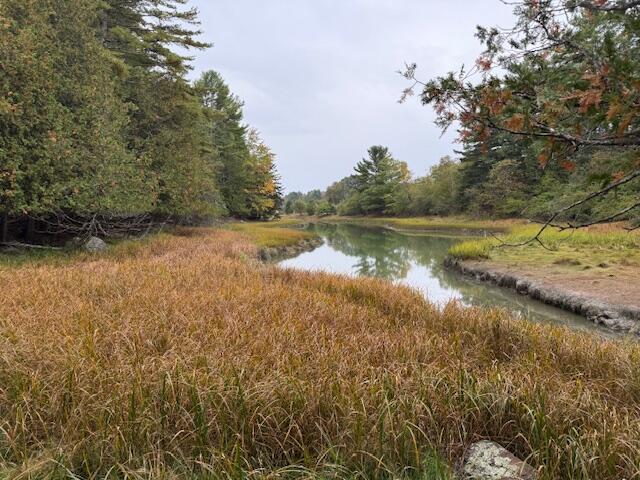 352 Bayview Road Penobscot, ME 04476 - Photo 52 of 56 IMG_2056