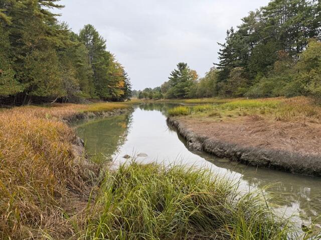 352 Bayview Road Penobscot, ME 04476 - Photo 53 of 56 IMG_2057
