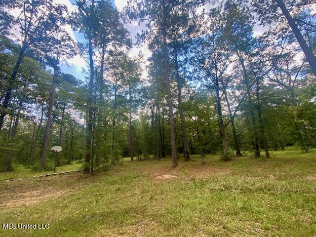 6178 Womack Lane Summit, MS 39666 - Photo 17 of 19 IMG_6652