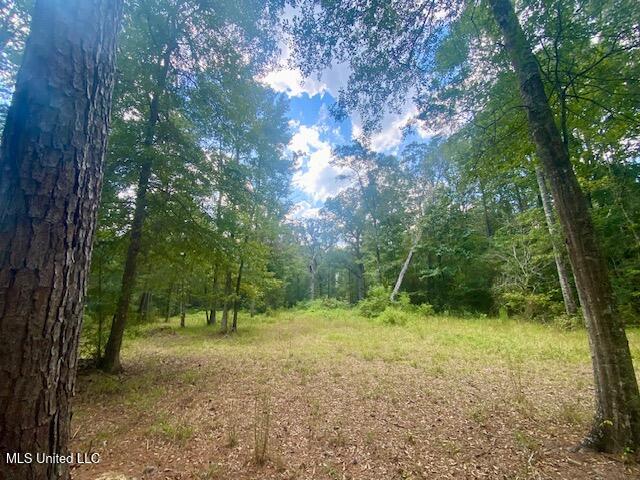 6178 Womack Lane Summit, MS 39666 - Photo 18 of 19 IMG_6651