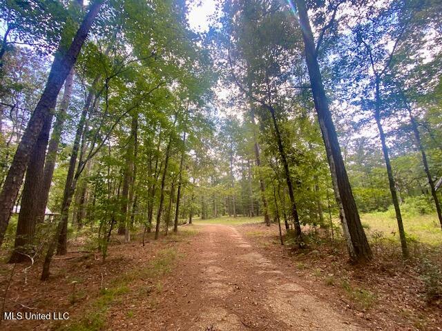 6178 Womack Lane Summit, MS 39666 - Photo 19 of 19 IMG_6650