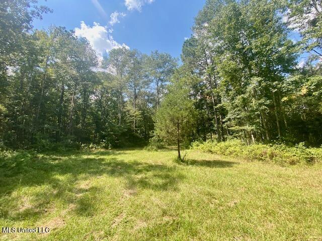6178 Womack Lane Summit, MS 39666 - Photo 2 of 19 IMG_6667