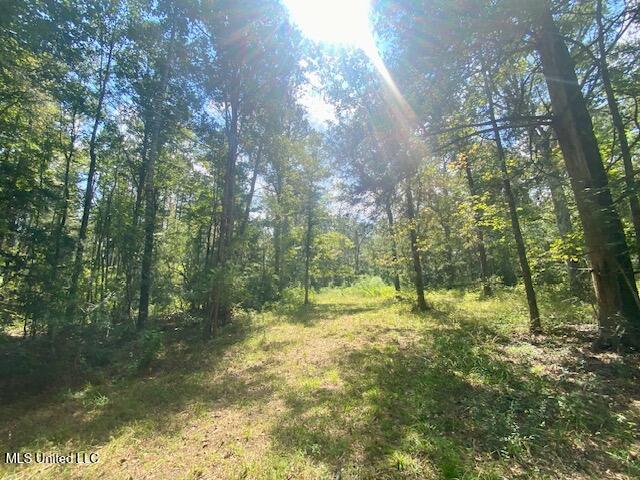 6178 Womack Lane Summit, MS 39666 - Photo 3 of 19 IMG_6666