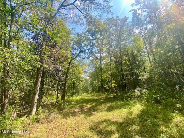 6178 Womack Lane Summit, MS 39666 - Photo 5 of 19 IMG_6664