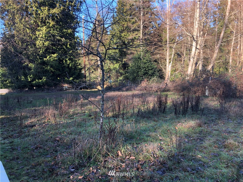 2 Watkins Road Freeland, WA 98249 - Photo 2 of 4