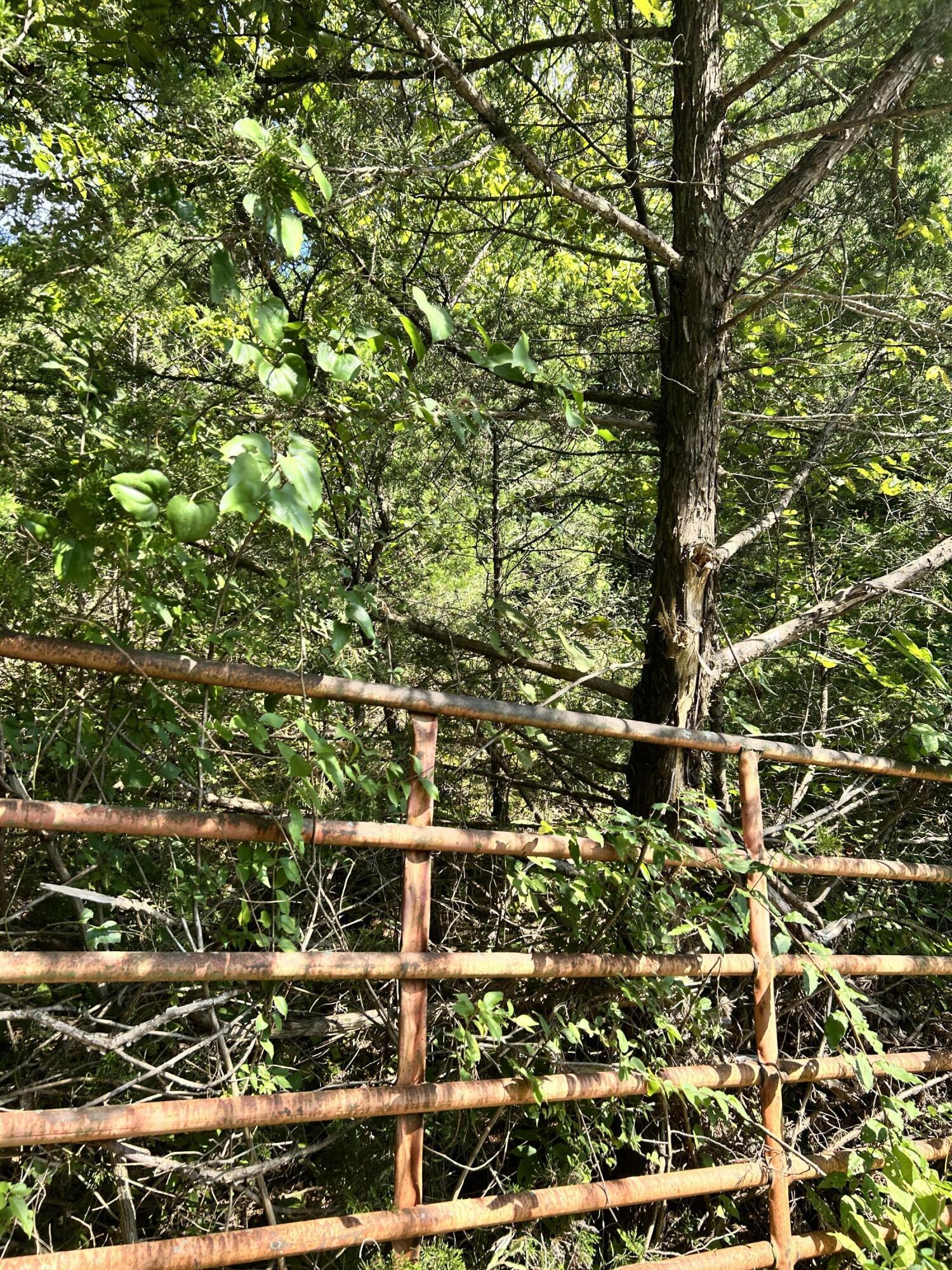 726 Old Brown Road Salvisa, KY 40372 - Photo 85 of 89 This gate is near the main entrance to the land. It gives a good idea at this point the farm opens up and both this farm.