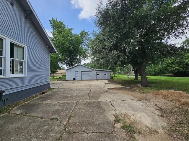 a view of backyard with large trees and potted plants