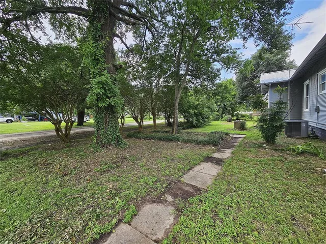 a view of park with trees