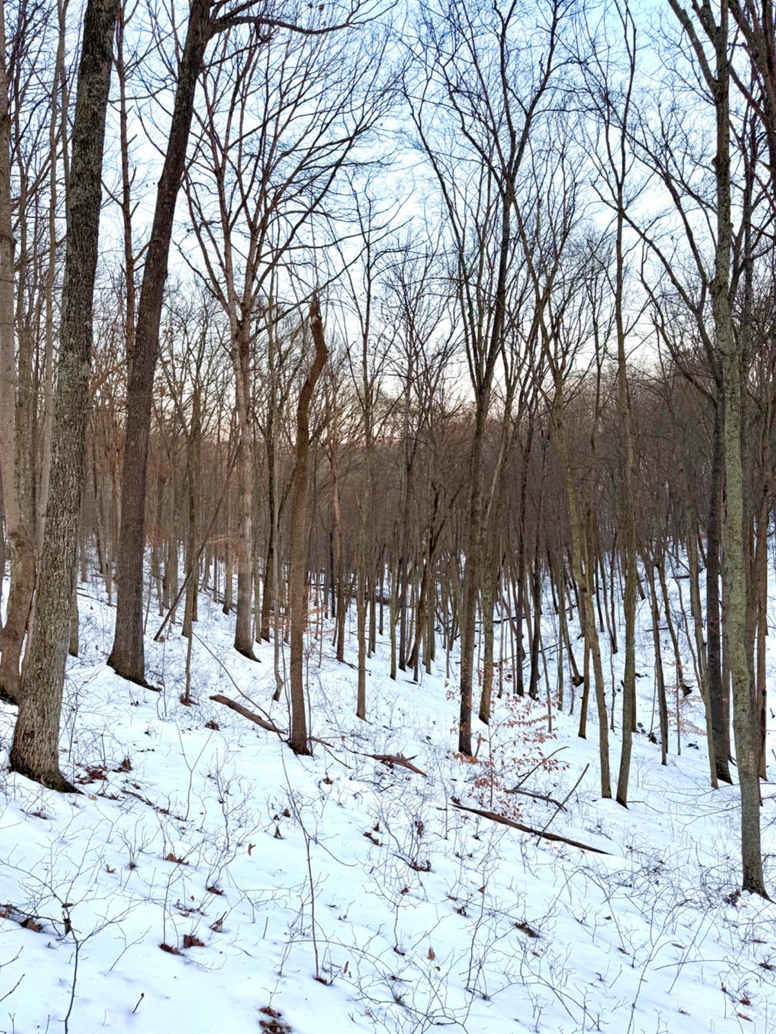 0 Carrs Run Beaver, OH 45613 - Photo 47 of 66