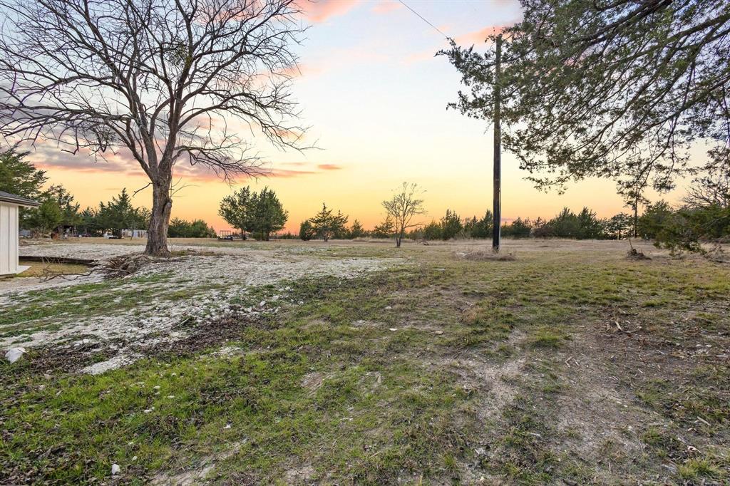 1325 Reynolds Road Whitewright, TX 75491 - Photo 32 of 39 a view of dirt field with trees