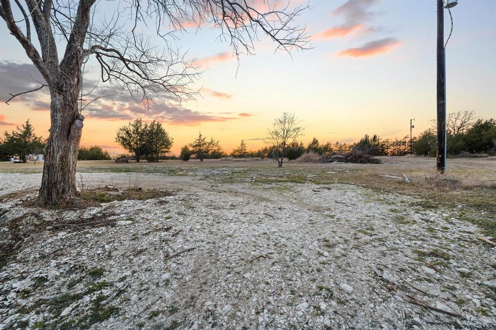 1325 Reynolds Road Whitewright, TX 75491 - Photo 33 of 39 a view of a yard with plants and trees