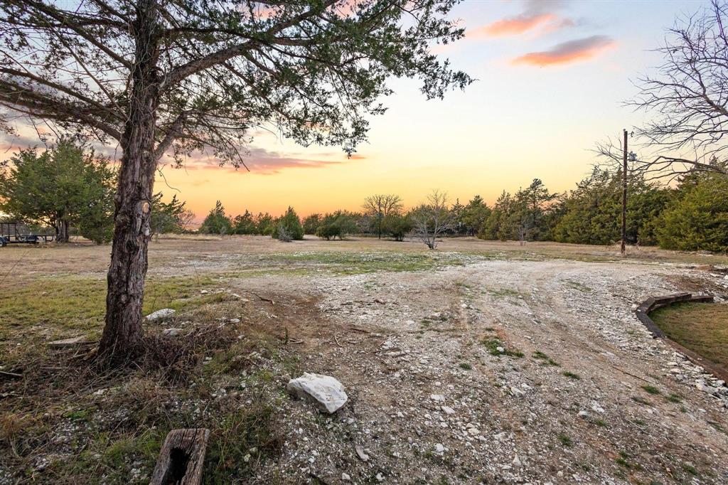 1325 Reynolds Road Whitewright, TX 75491 - Photo 34 of 39 a view of a field with large trees