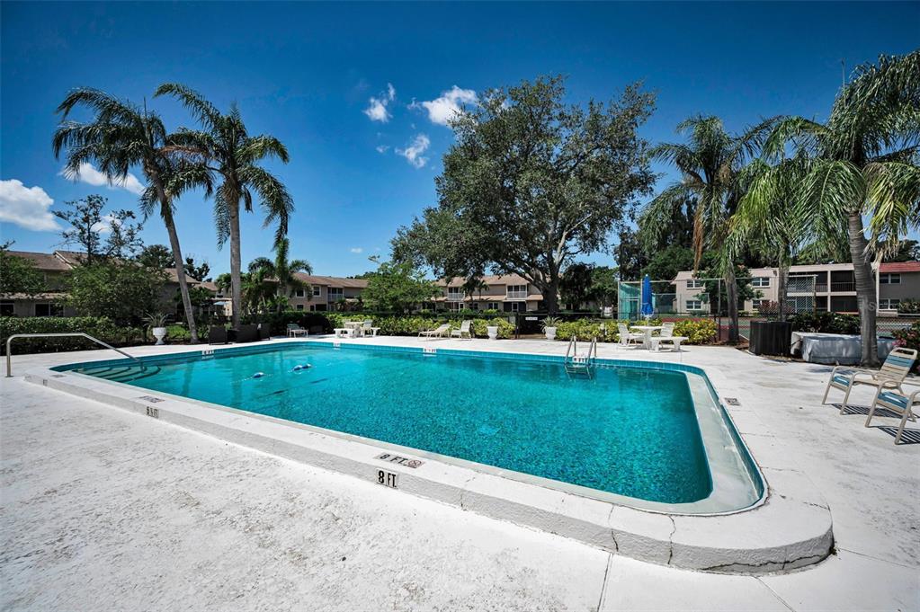9700 Starkey Road, Unit 228 Seminole, FL 33777 - Photo 48 of 49