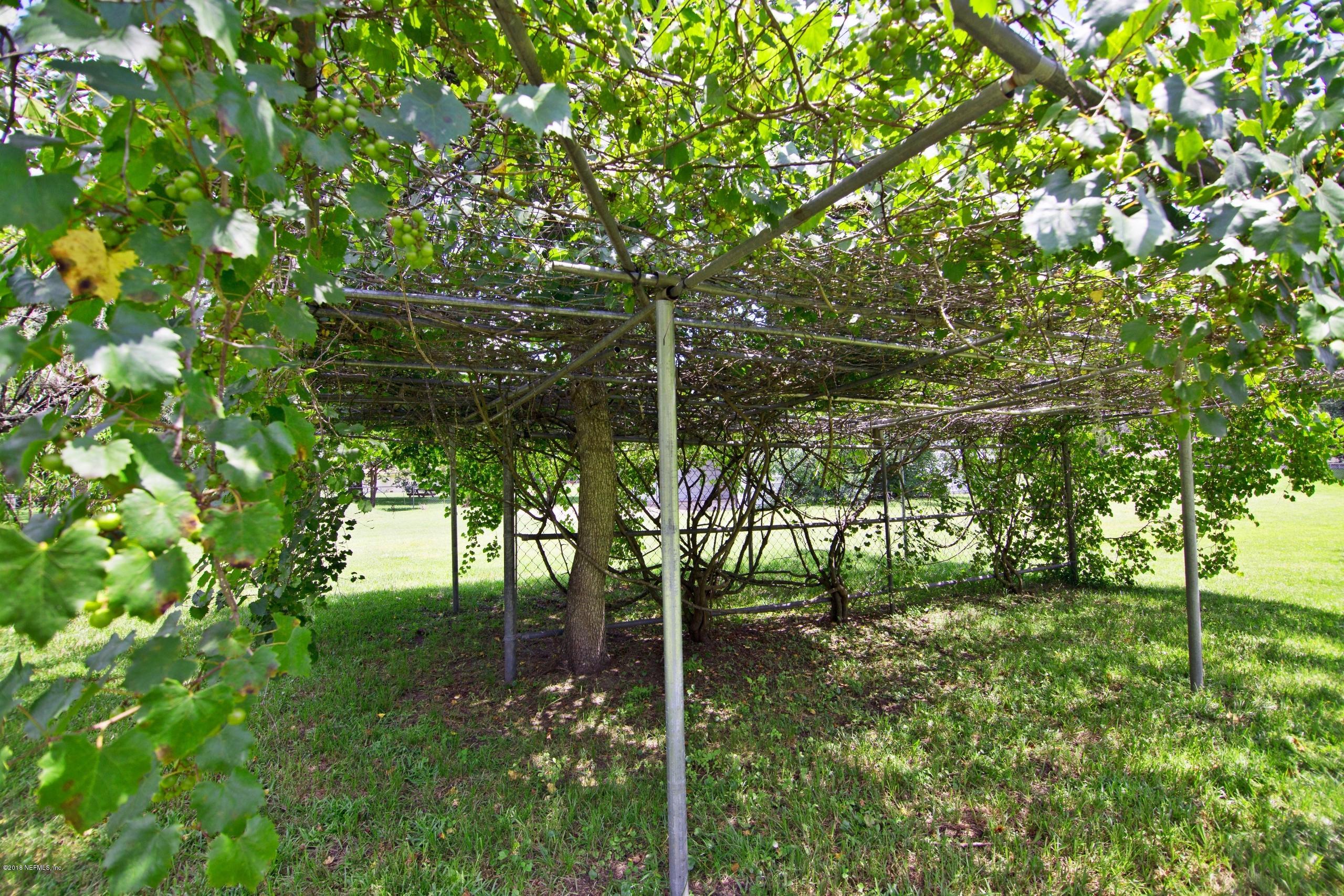 7765 Burma Road Jacksonville, FL 32221 - Photo 6 of 39 7765-burma-road-jacksonville-fl-usa-005