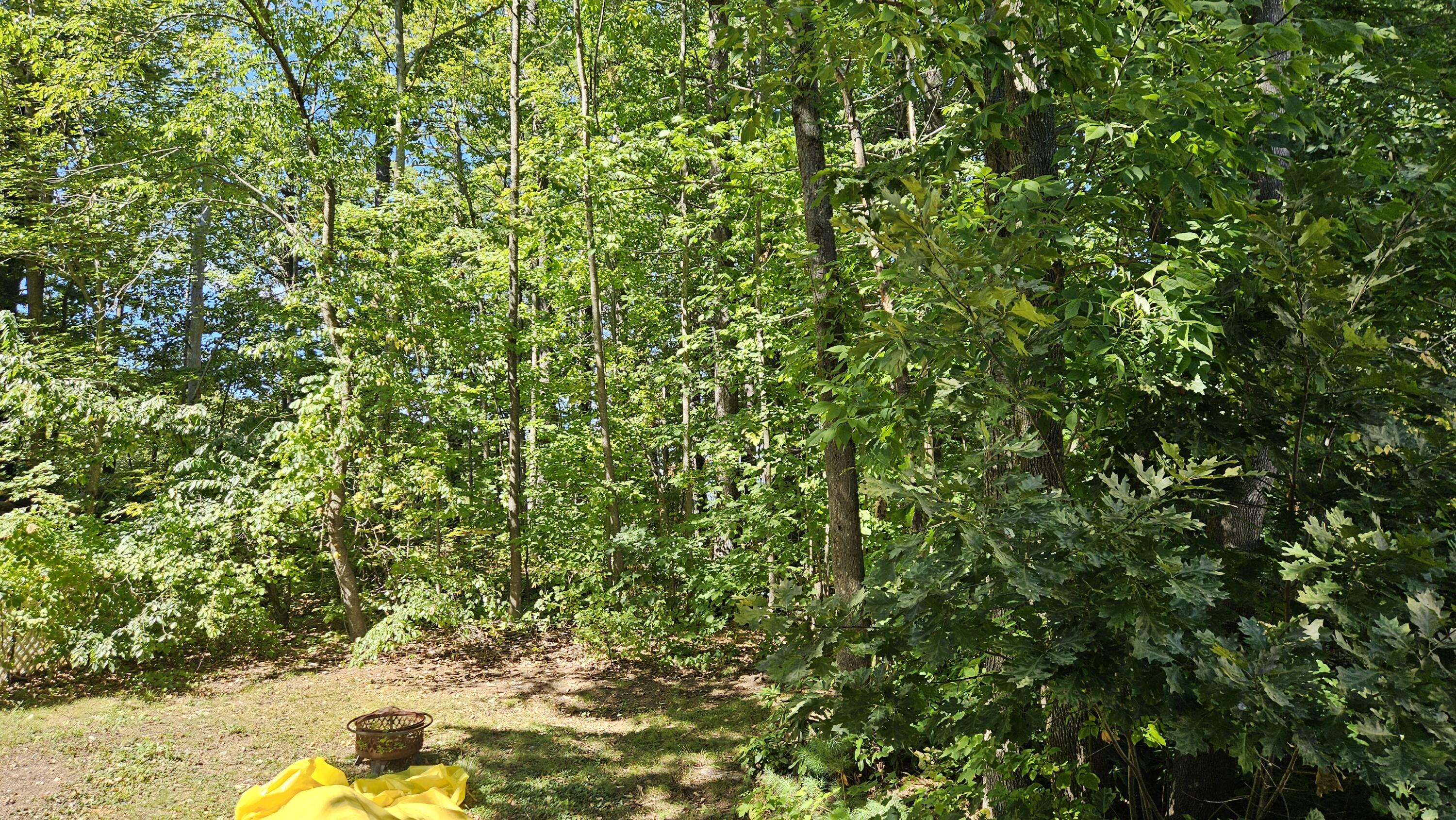 8 Pettingill Road Windham, ME 04062 - Photo 25 of 45 20260915_134151