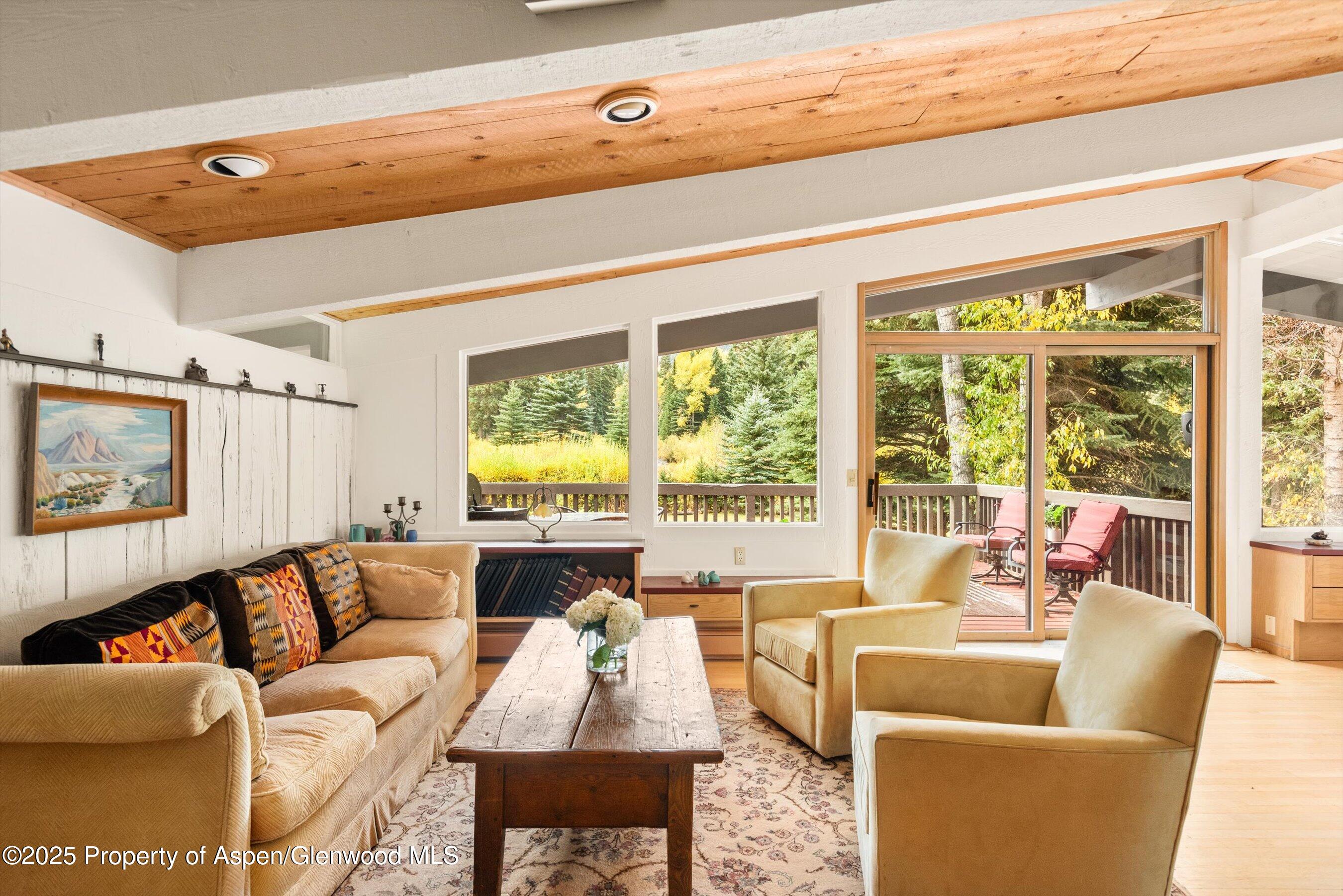 1894 Castle Creek Road Aspen, CO 81611 - Photo 20 of 66 24-1894CastleCreek_HiRes_231002021