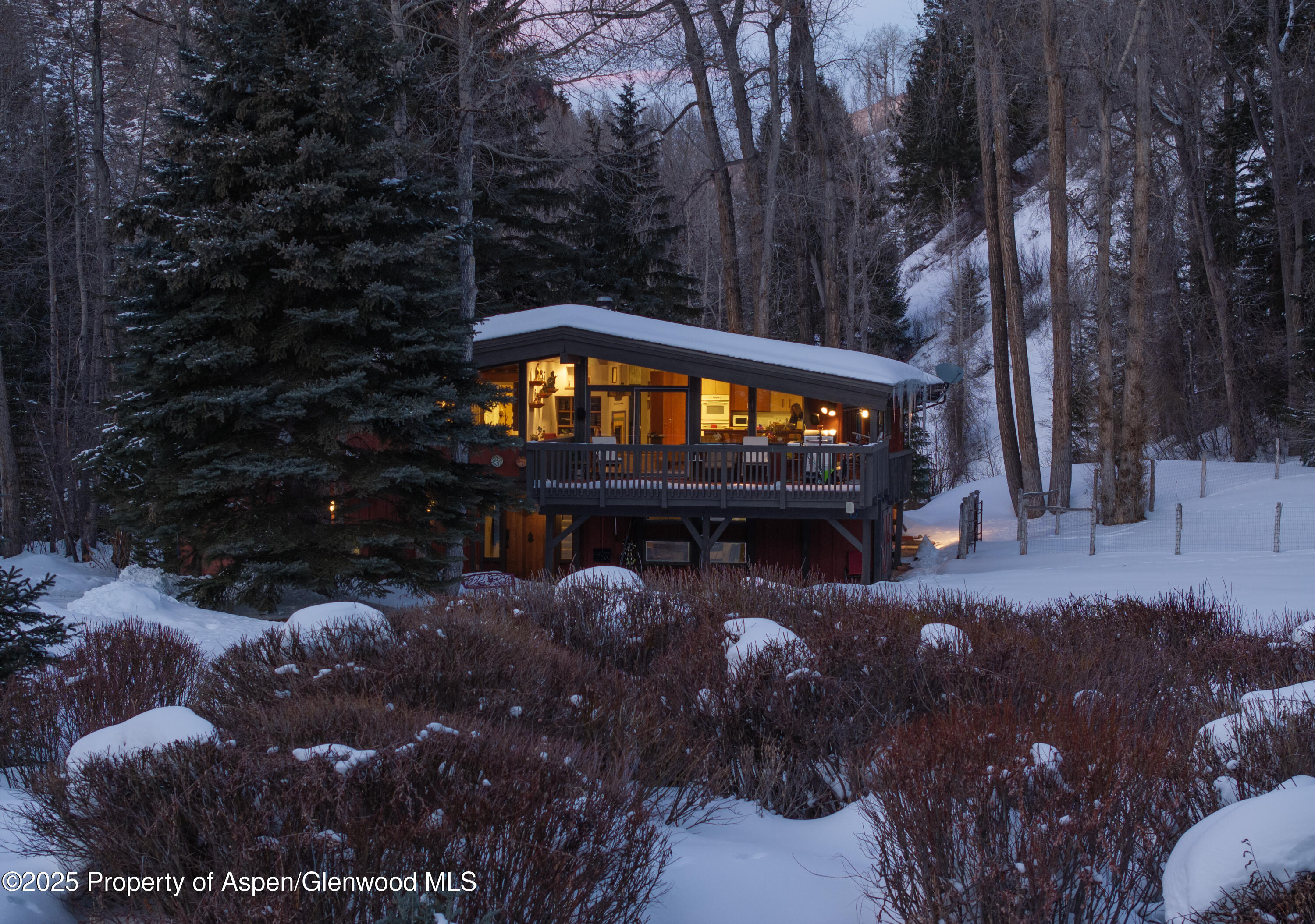 1894 Castle Creek Road Aspen, CO 81611 - Photo 2 of 66 DJI_20250109085322_0269_D