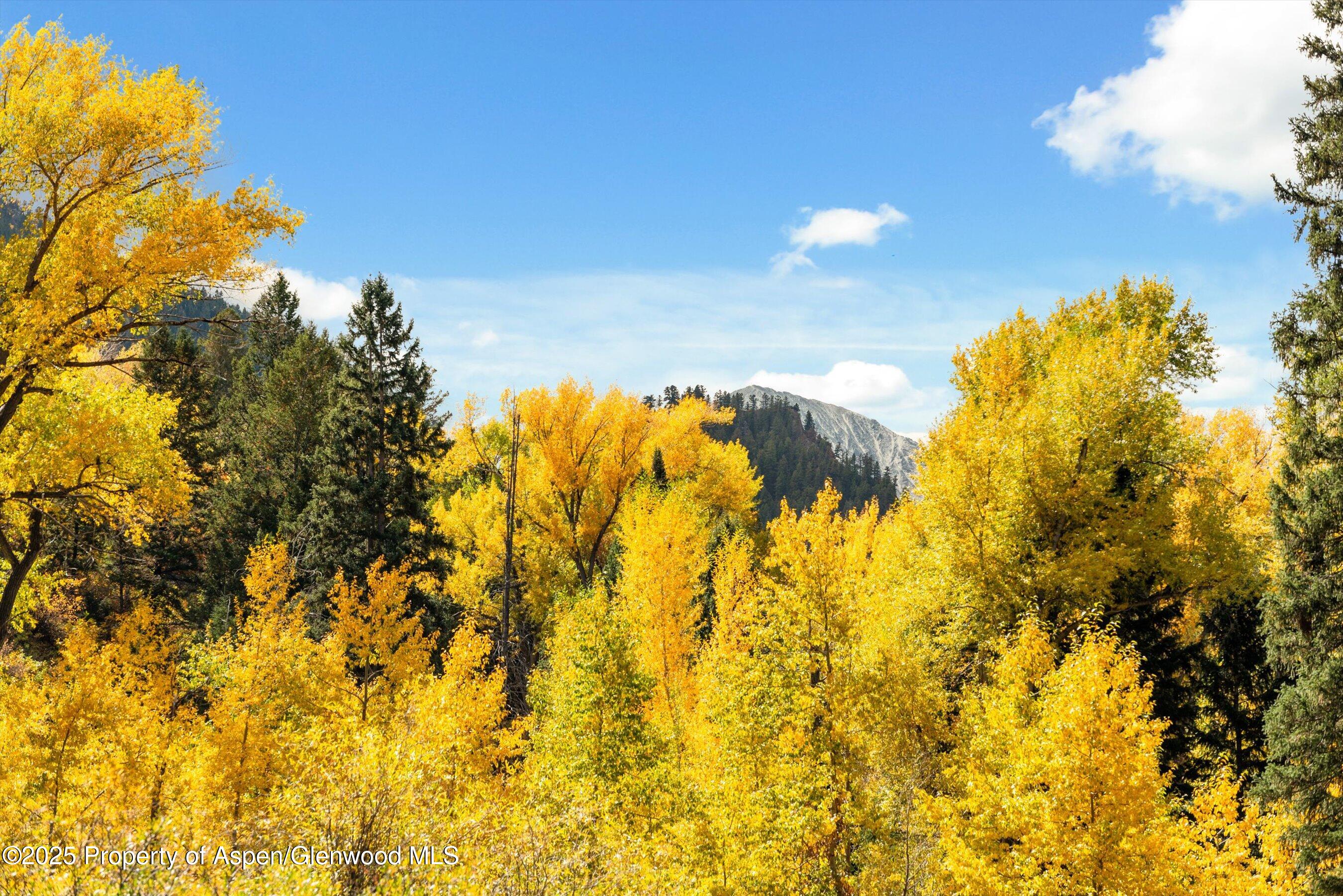 1894 Castle Creek Road Aspen, CO 81611 - Photo 23 of 66 27-1894CastleCreek_HiRes_231002019