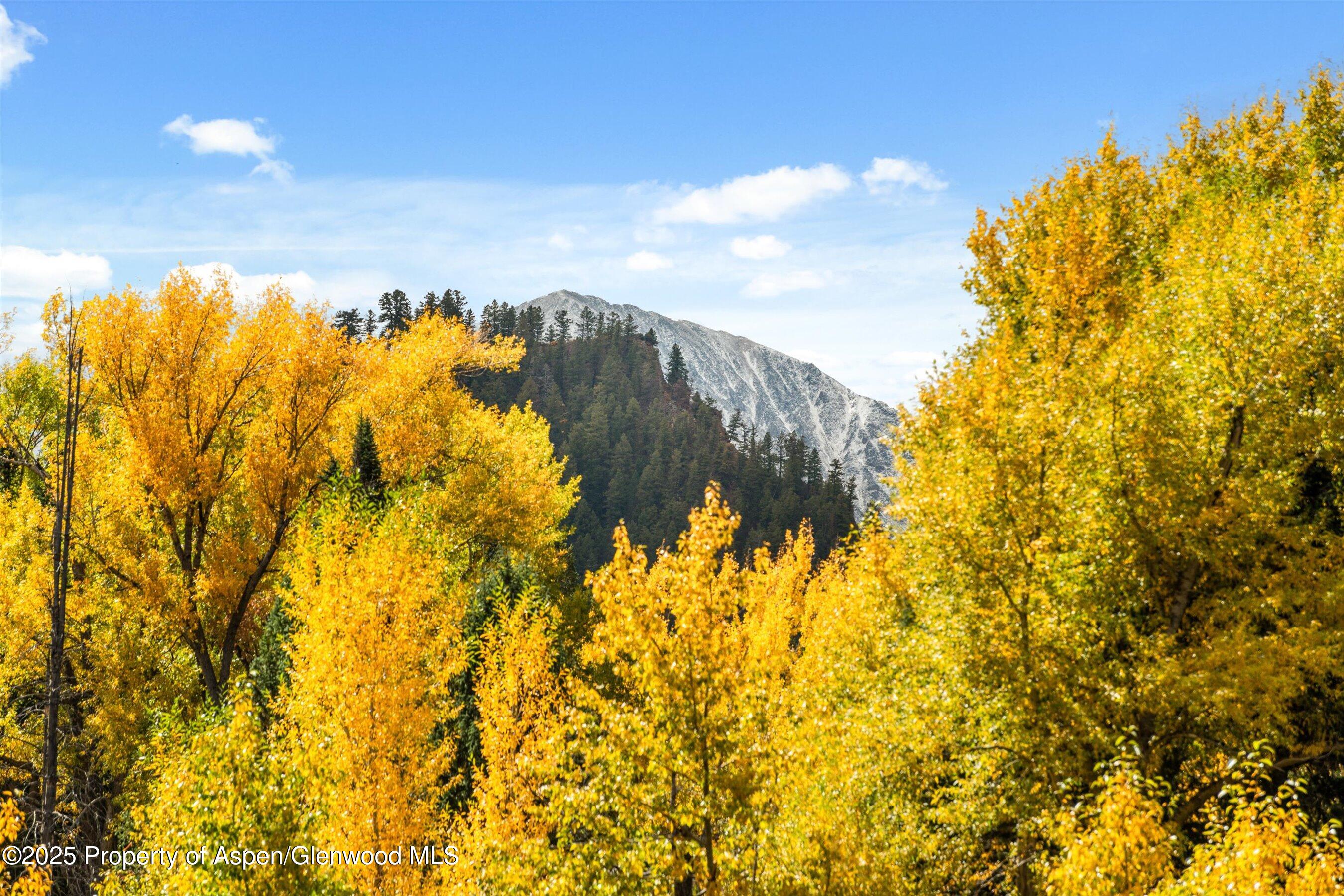 1894 Castle Creek Road Aspen, CO 81611 - Photo 24 of 66 28-1894CastleCreek_HiRes_231002020