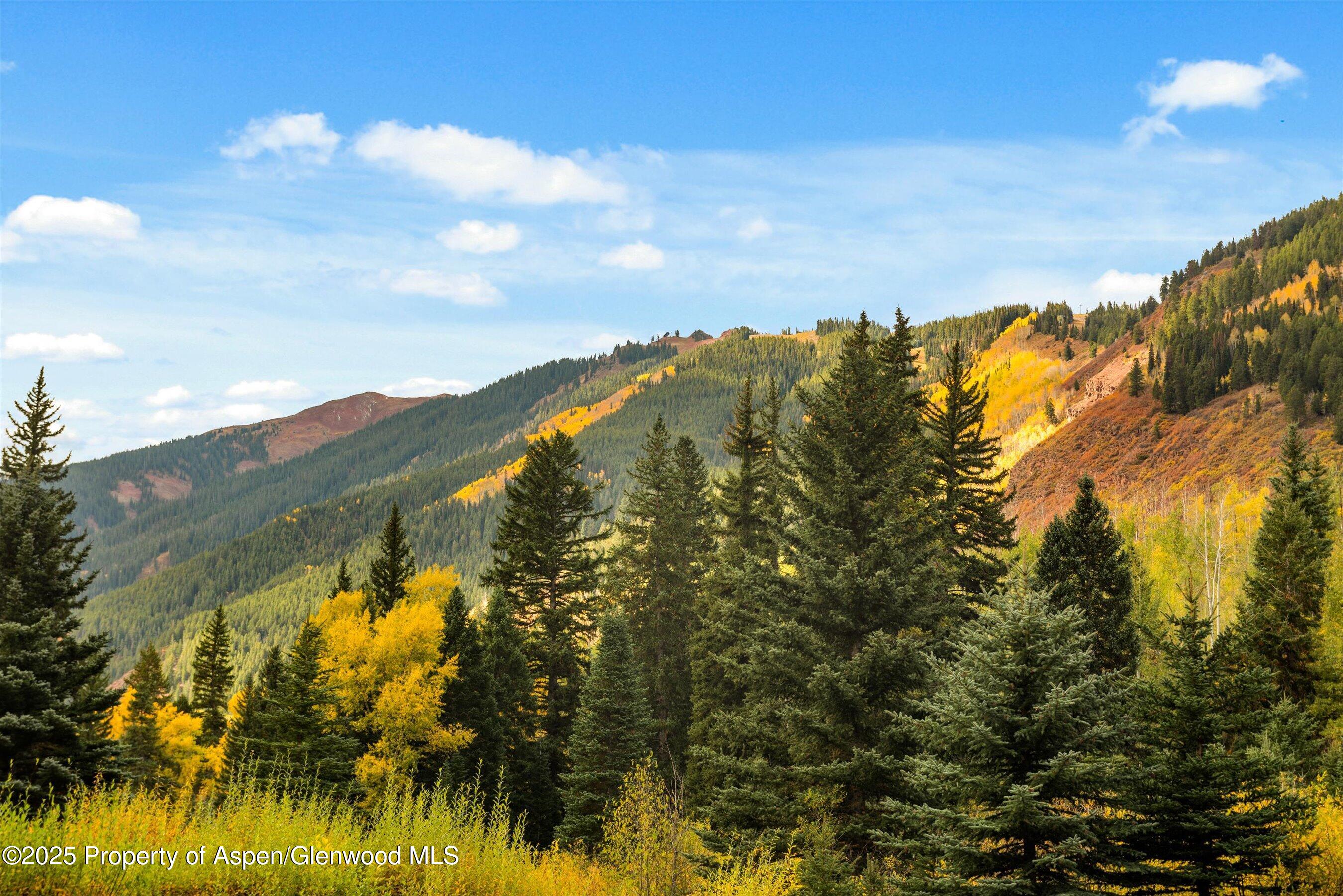 1894 Castle Creek Road Aspen, CO 81611 - Photo 25 of 66 29-1894CastleCreek_HiRes_231002016