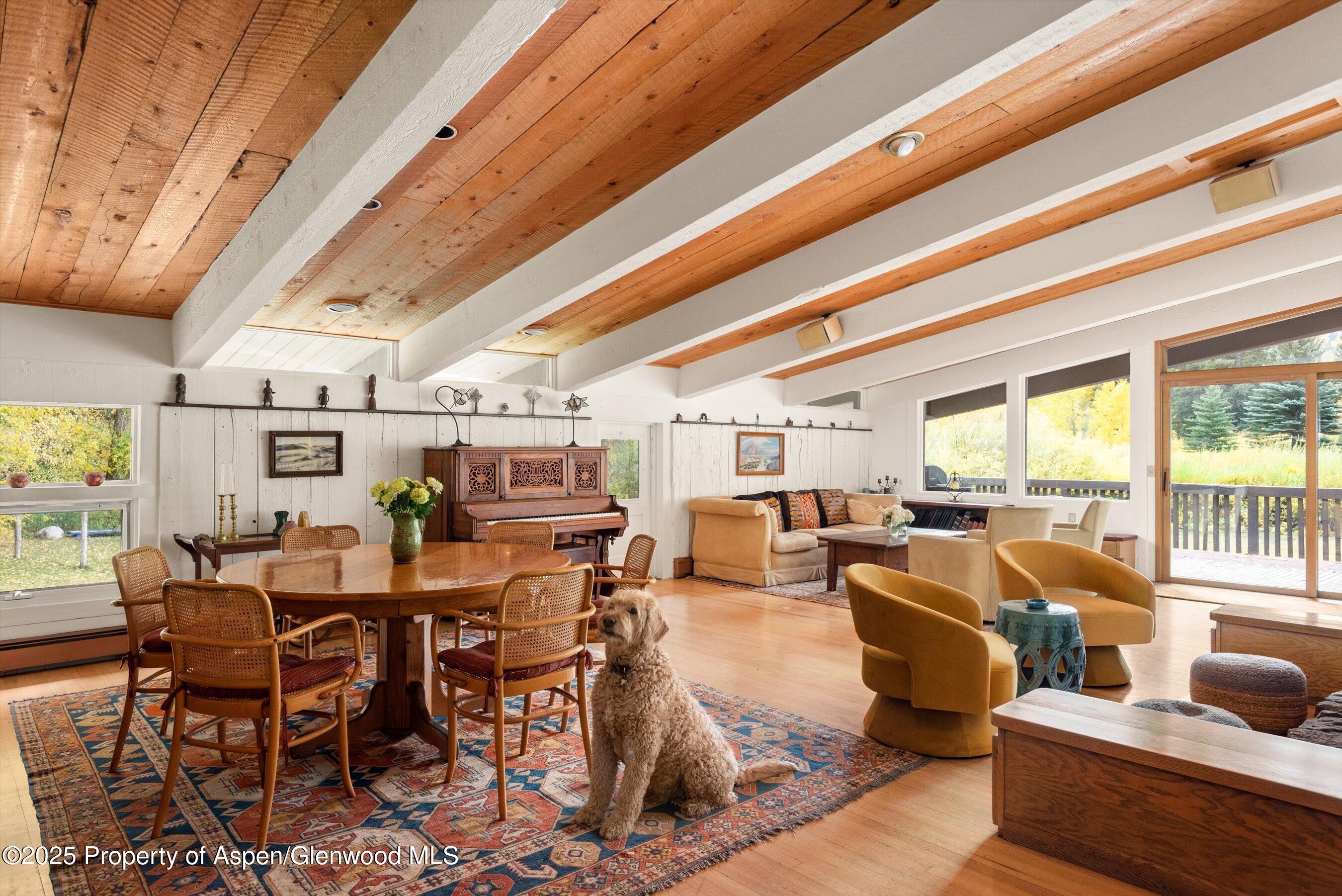 1894 Castle Creek Road Aspen, CO 81611 - Photo 32 of 66 22-1894CastleCreek_HiRes_231002025