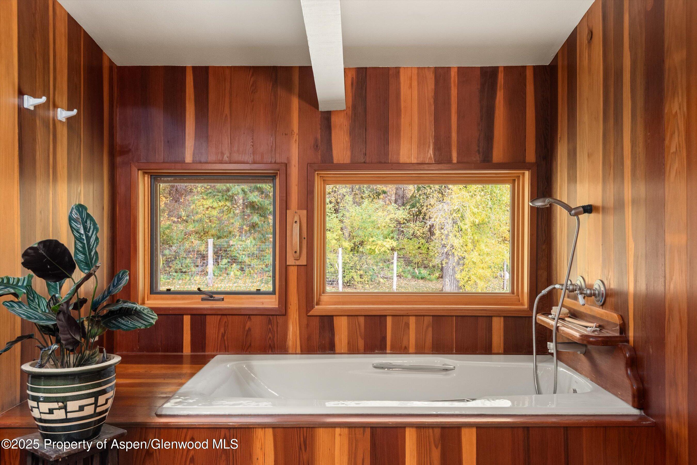 1894 Castle Creek Road Aspen, CO 81611 - Photo 36 of 66 13-1894CastleCreek_HiRes_231002036