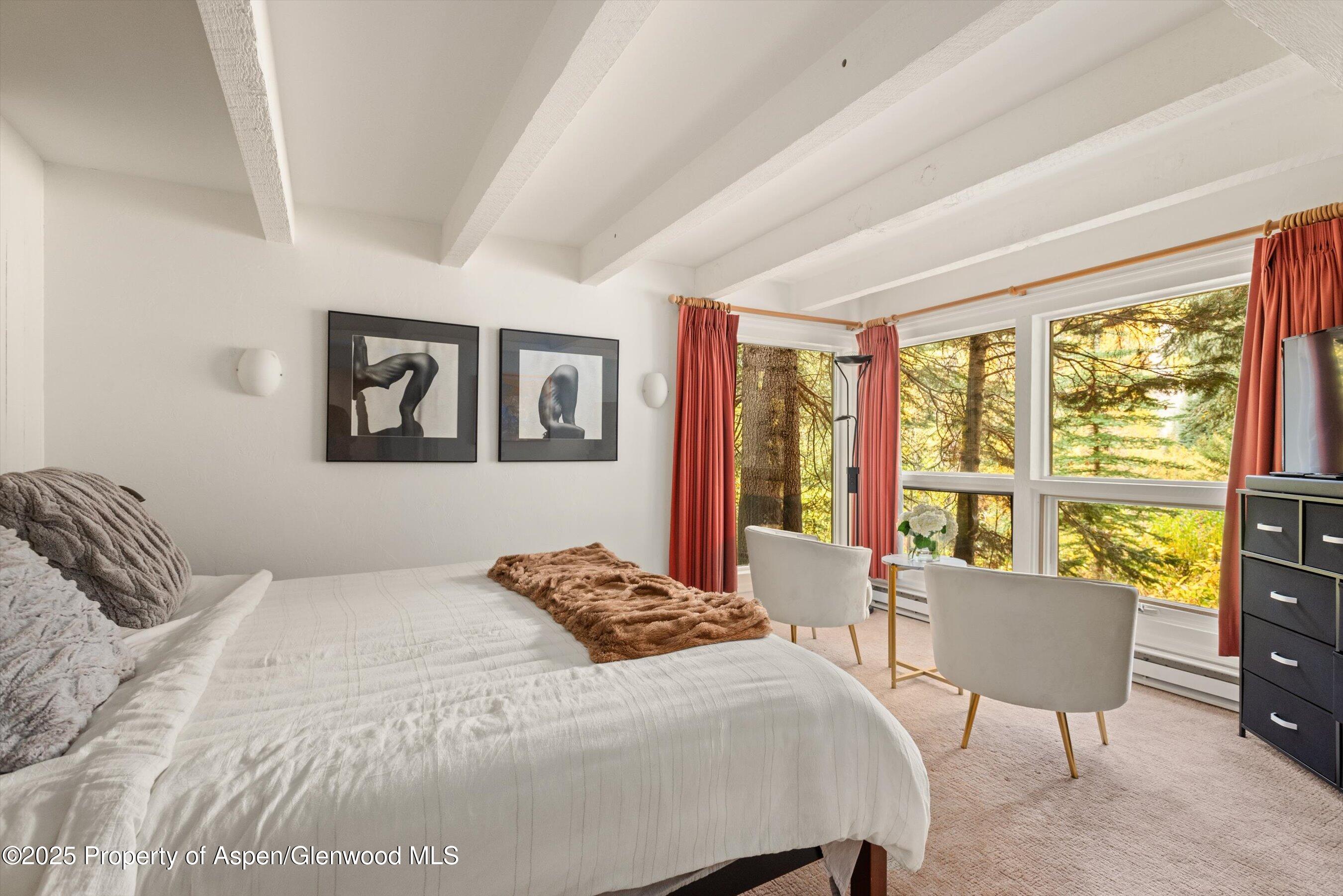 1894 Castle Creek Road Aspen, CO 81611 - Photo 37 of 66 14-1894CastleCreek_HiRes_231002037