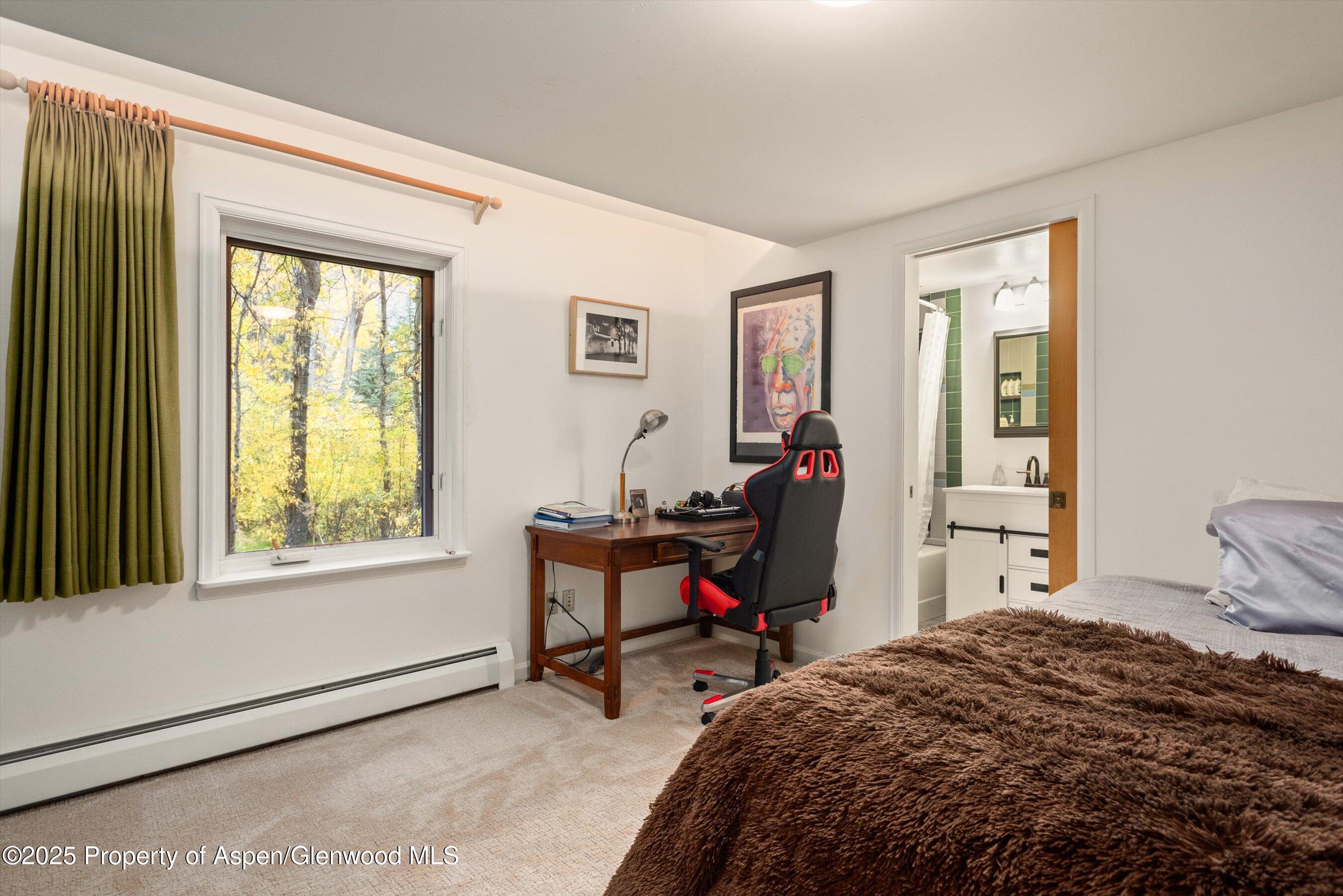 1894 Castle Creek Road Aspen, CO 81611 - Photo 40 of 66 08-1894CastleCreek_HiRes_231002040