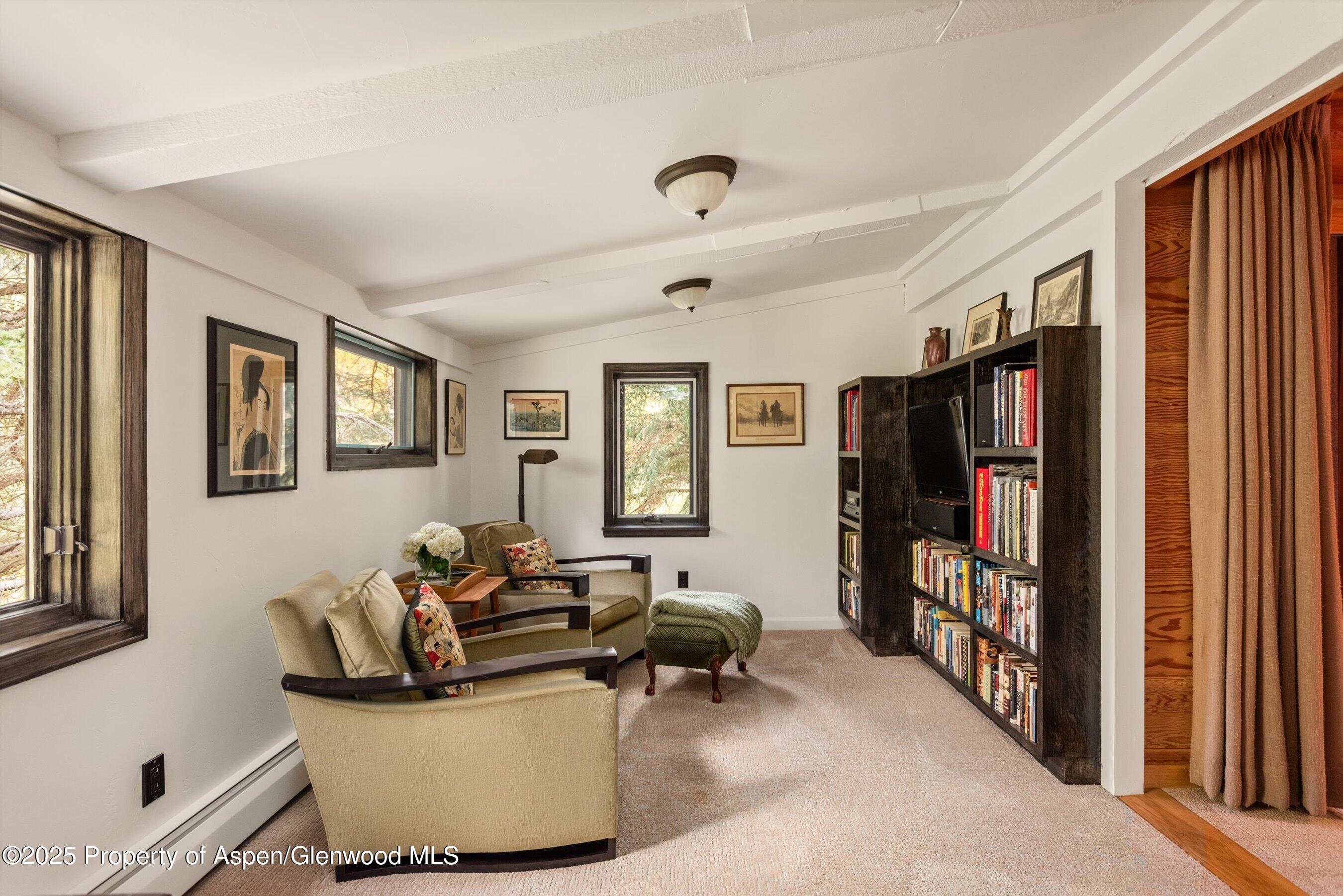 1894 Castle Creek Road Aspen, CO 81611 - Photo 42 of 66 10-1894CastleCreek_HiRes_231002033