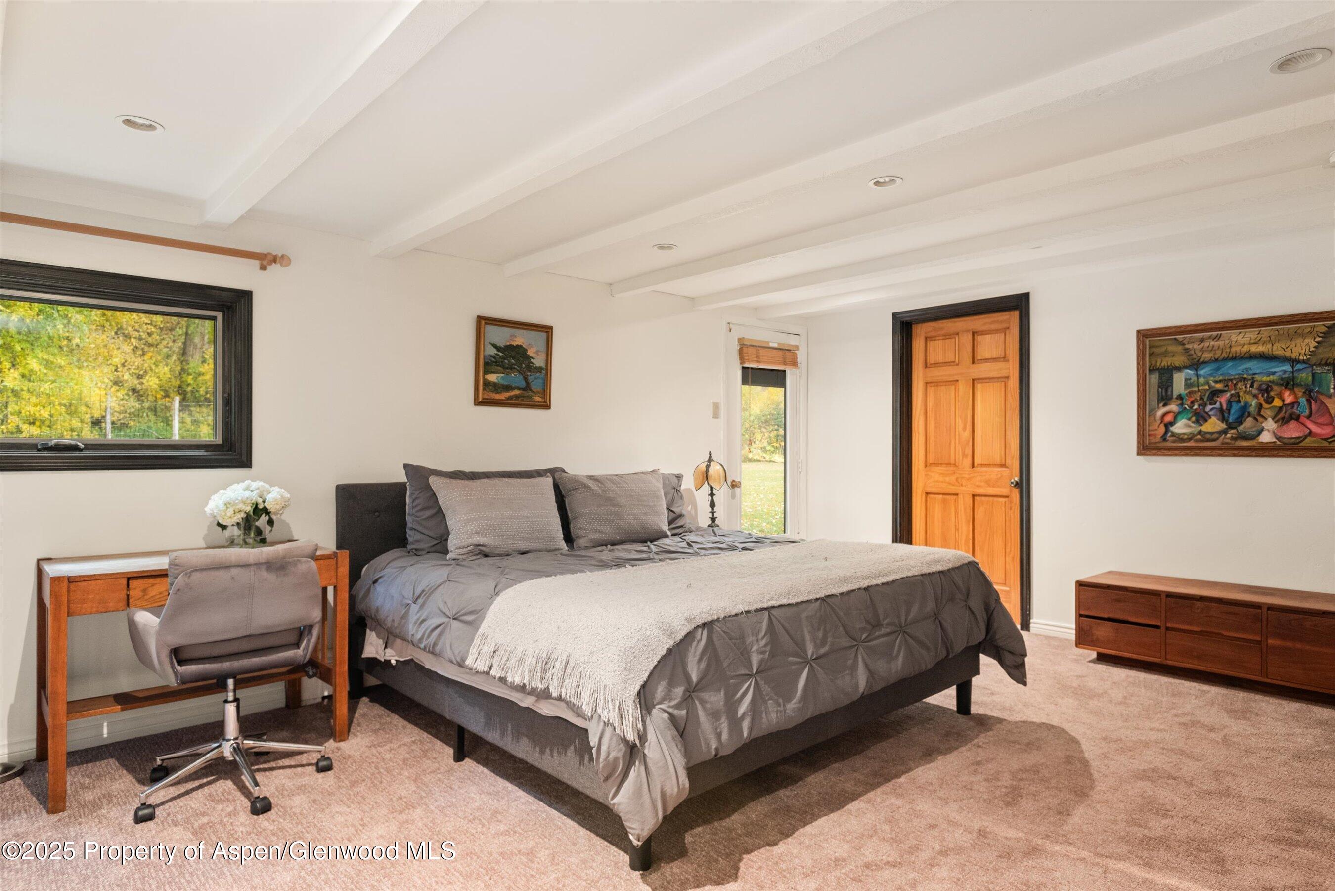 1894 Castle Creek Road Aspen, CO 81611 - Photo 47 of 66 06-1894CastleCreek_HiRes_231002038