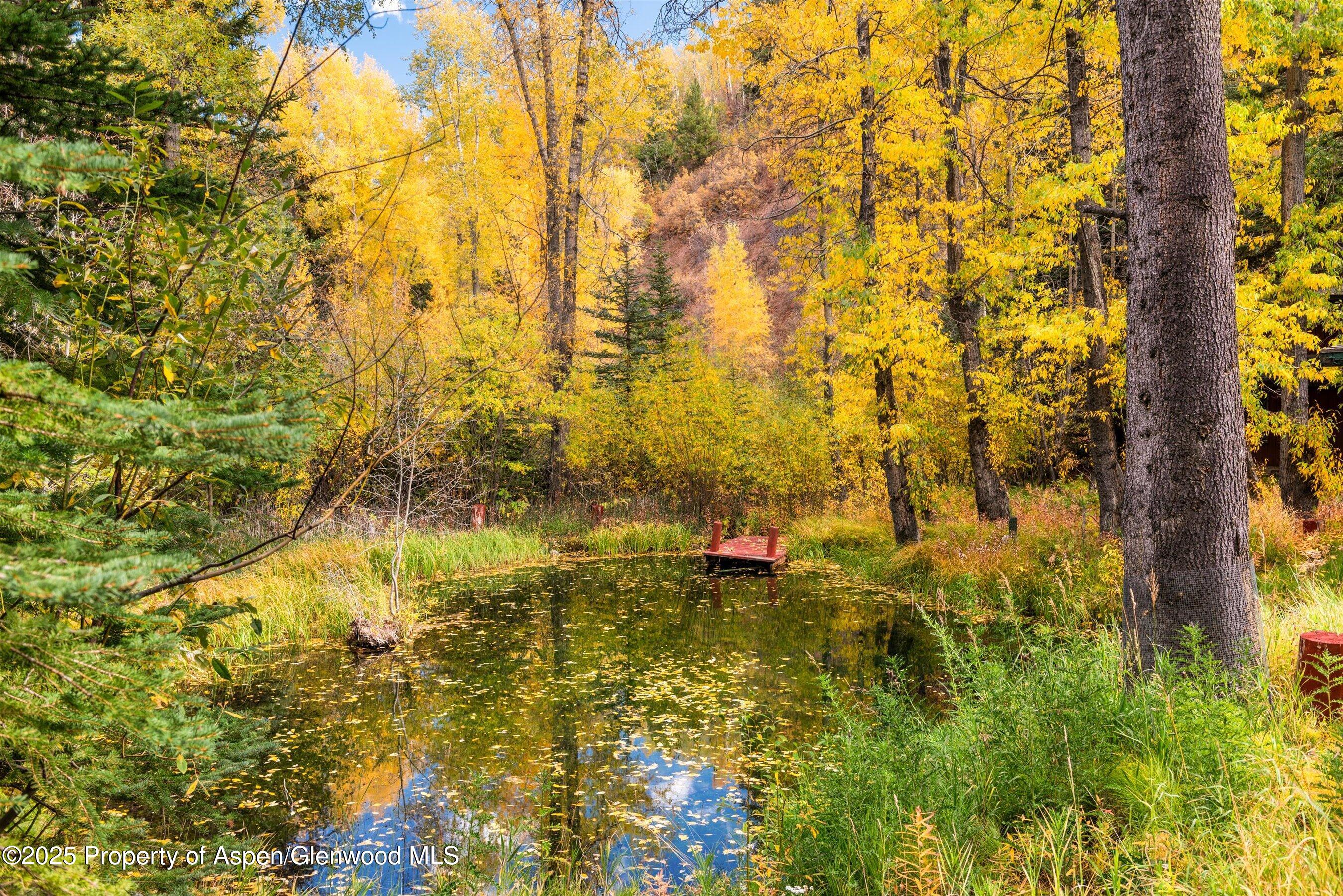 1894 Castle Creek Road Aspen, CO 81611 - Photo 5 of 66 41-1894CastleCreek_HiRes_231002007