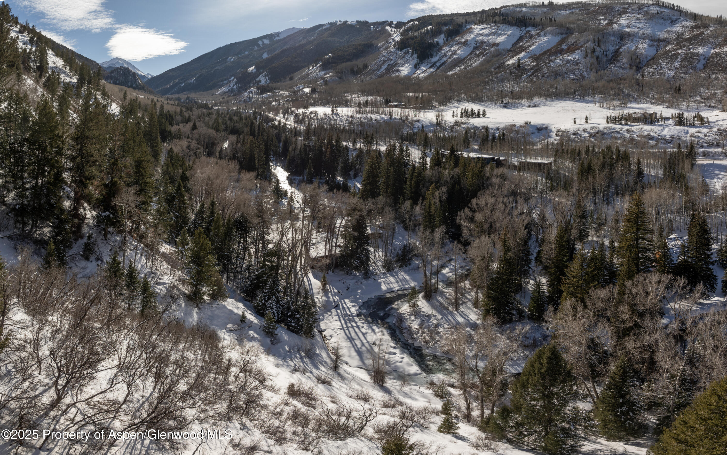 1894 Castle Creek Road Aspen, CO 81611 - Photo 54 of 66 DJI_20250109054537_0229_D-Pano