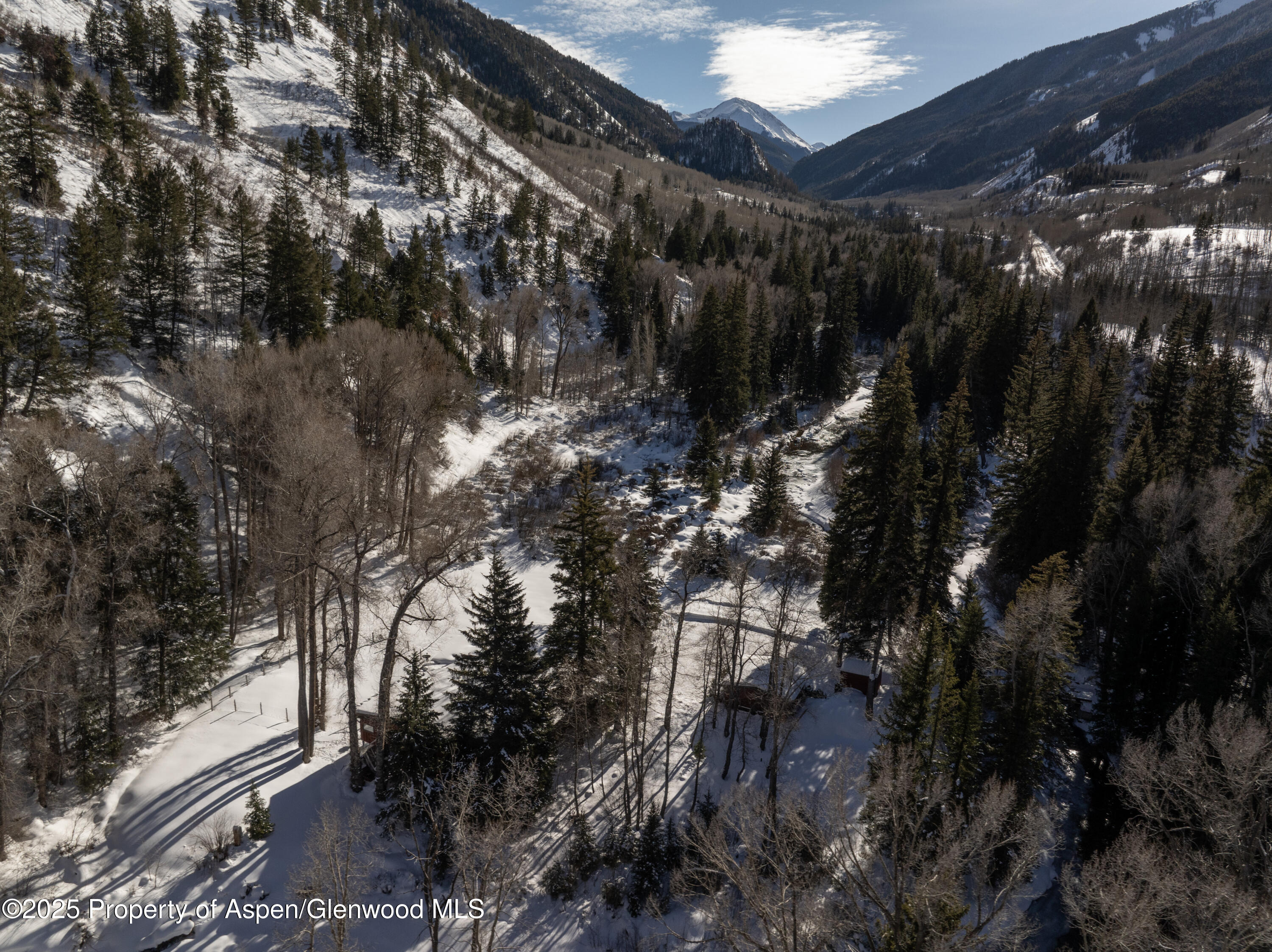 1894 Castle Creek Road Aspen, CO 81611 - Photo 56 of 66 DJI_20250109054609_0232_D