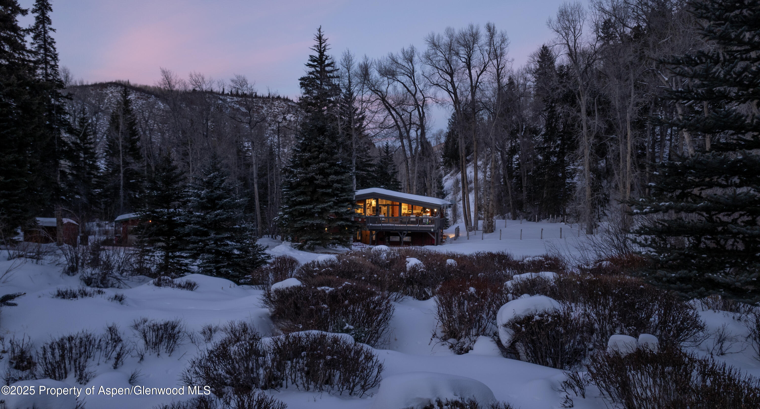 1894 Castle Creek Road Aspen, CO 81611 - Photo 64 of 66 DJI_20250109085315_0268_D
