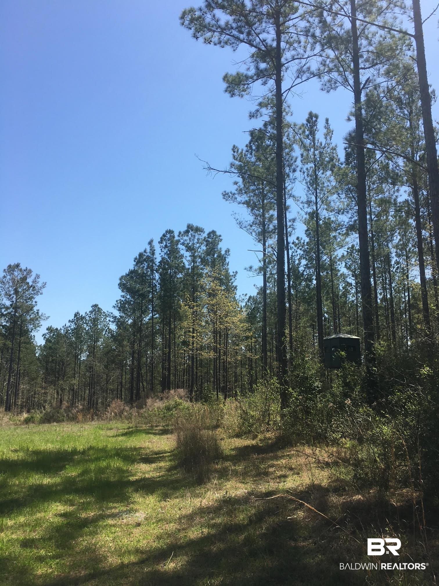 0 Foshee Road Brewton, AL 36426 - Photo 1 of 32