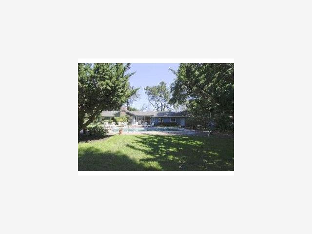 580 Middlefield Road Atherton, CA 94027 - Photo 9 of 9 a black and white photo of a forest