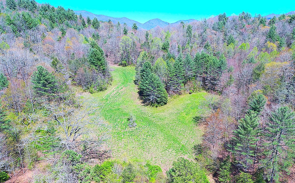 208 Odell Loop Murphy, NC 28906 - Photo 3 of 45
