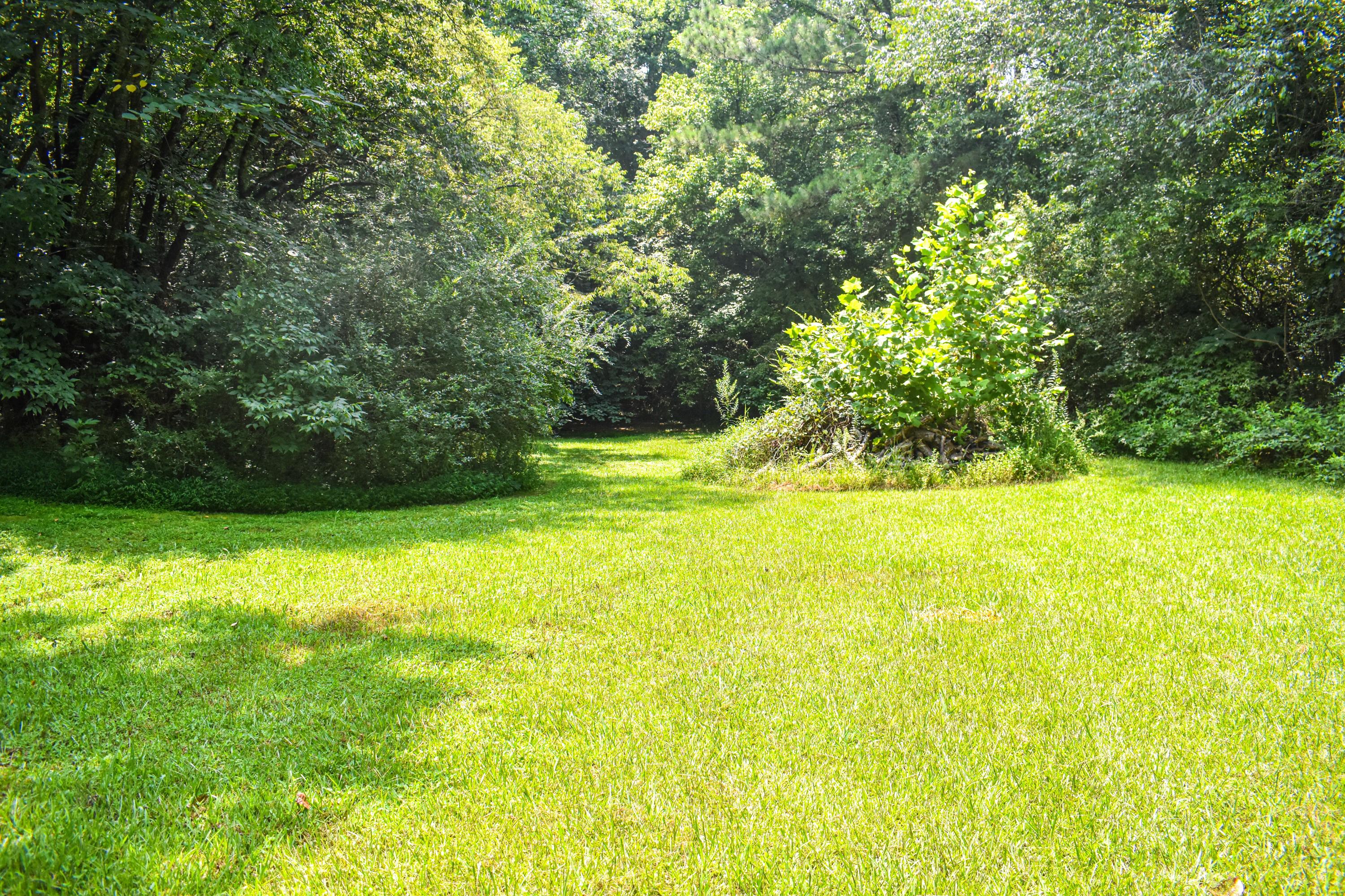 2308 Highway 95 Rear Yard3